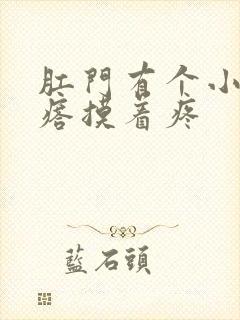 肛门有个小硬疙瘩摸着疼