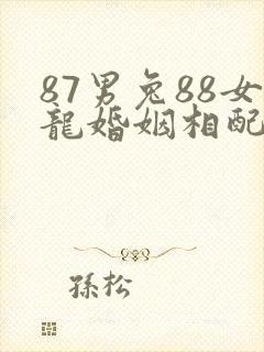87男兔88女龙婚姻相配吗