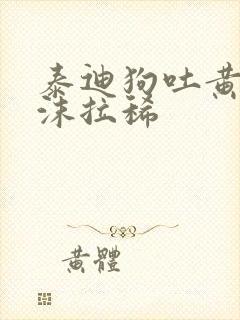 泰迪狗吐黄水带沫拉稀