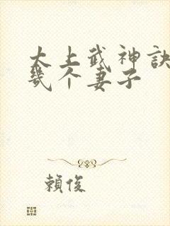 太上武神诀吴云几个妻子封面