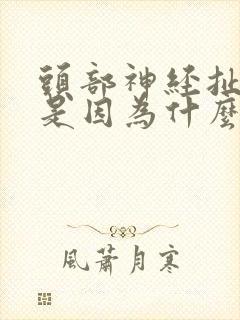 头部神经扯着痛是因为什么