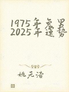 1975年兔男2025年运势及运程详解