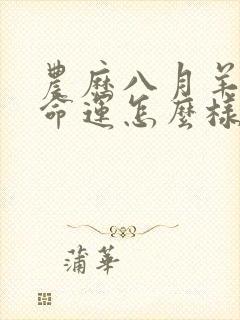 农历八月羊女的命运怎么样