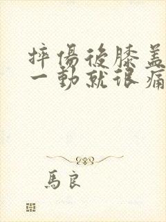 摔伤后膝盖内侧一动就很痛封面