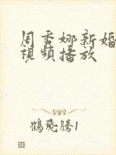 周秀娜新婚夜的视频播放