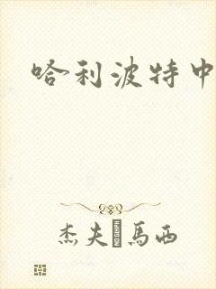 哈利波特中文版