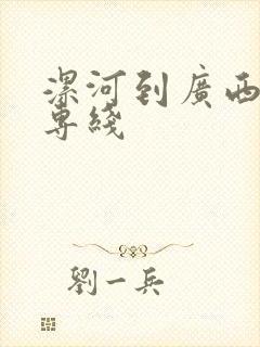 漯河到广西物流专线