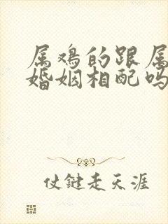 属鸡的跟属蛇的婚姻相配吗