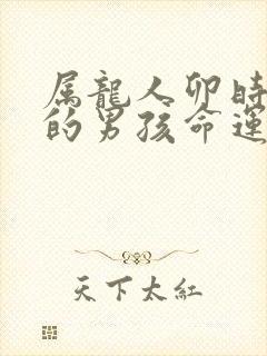 属龙人卯时出生的男孩命运