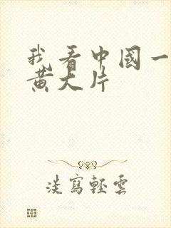 我看中国一级特黄大片封面