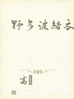 野多波结衣