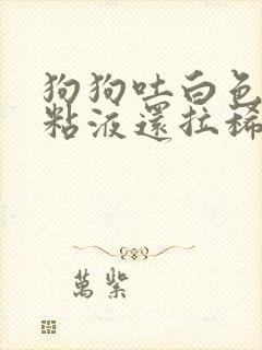 狗狗吐白色泡沫粘液还拉稀怎么回事