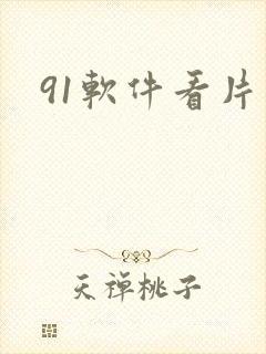 91软件看片封面