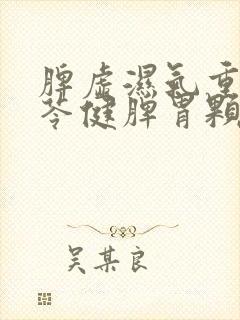 脾虚湿气重吃参苓健脾胃颗粒可以吗