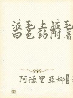 液毛上腋毛上有白色的附着物是什么病