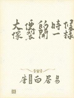 大便的时候肛门像裂开一样疼