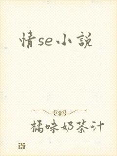 情se小说
