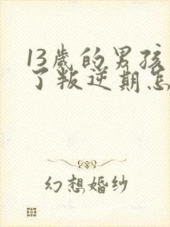 13岁的男孩到了叛逆期怎么