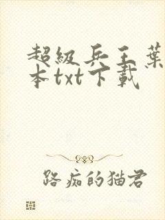 超级兵王叶谦全本txt下载