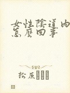 女性阴道内异味怎么回事