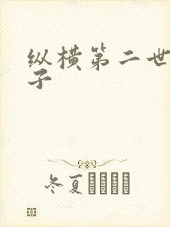 纵横第二世界宽子