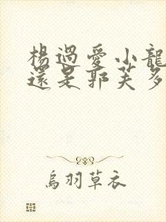 杨过爱小龙女多还是郭芙多