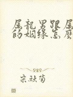 属龙男跟属马女的姻缘怎么样封面