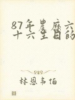 87年农历六月十六生日的人命运如何