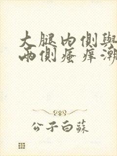 大腿内侧与阴囊两侧瘙痒潮湿还发黑