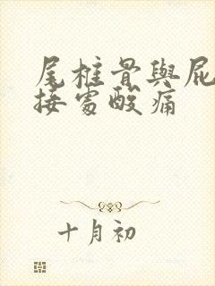 尾椎骨与屁股连接处酸痛