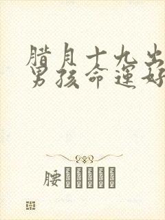 腊月十九出生的男孩命运好吗