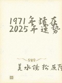 1971年猪在2025年运势财运如何