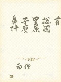 鼻子里总有血是什么原因