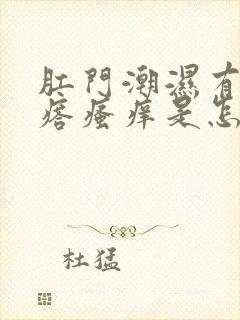 肛门潮湿有小疙瘩瘙痒是怎么回事封面