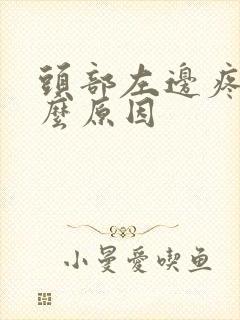 头部左边疼是什么原因