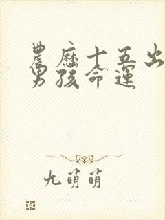 农历十五出生的男孩命运