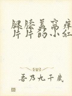 腿膝盖窝痒有一片片的小红疹