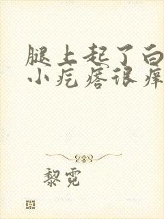 腿上起了白色的小疙瘩很痒