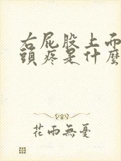 右屁股上面的骨头疼是什么原因