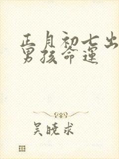 正月初七出生的男孩命运封面