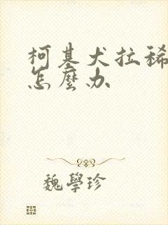 柯基犬拉稀带血怎么办