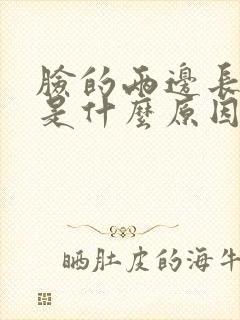 脸的两边长痘痘是什么原因