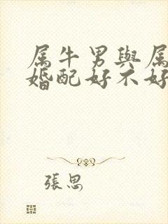 属牛男与属虎女婚配好不好