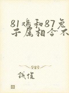 81鸡和87兔子属相合不合