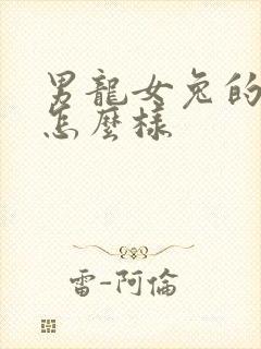 男龙女兔的婚姻怎么样