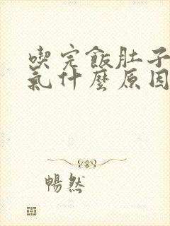 吃完饭肚子就胀气什么原因