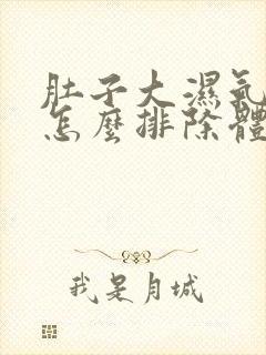 肚子大湿气太重怎么排除体内湿气封面