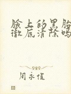 脸上的黑胎记能彻底清除吗