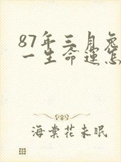 87年三月兔女一生命运怎样