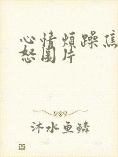 心情烦躁焦虑易怒图片